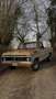 Ford F 100 - thumbnail 1