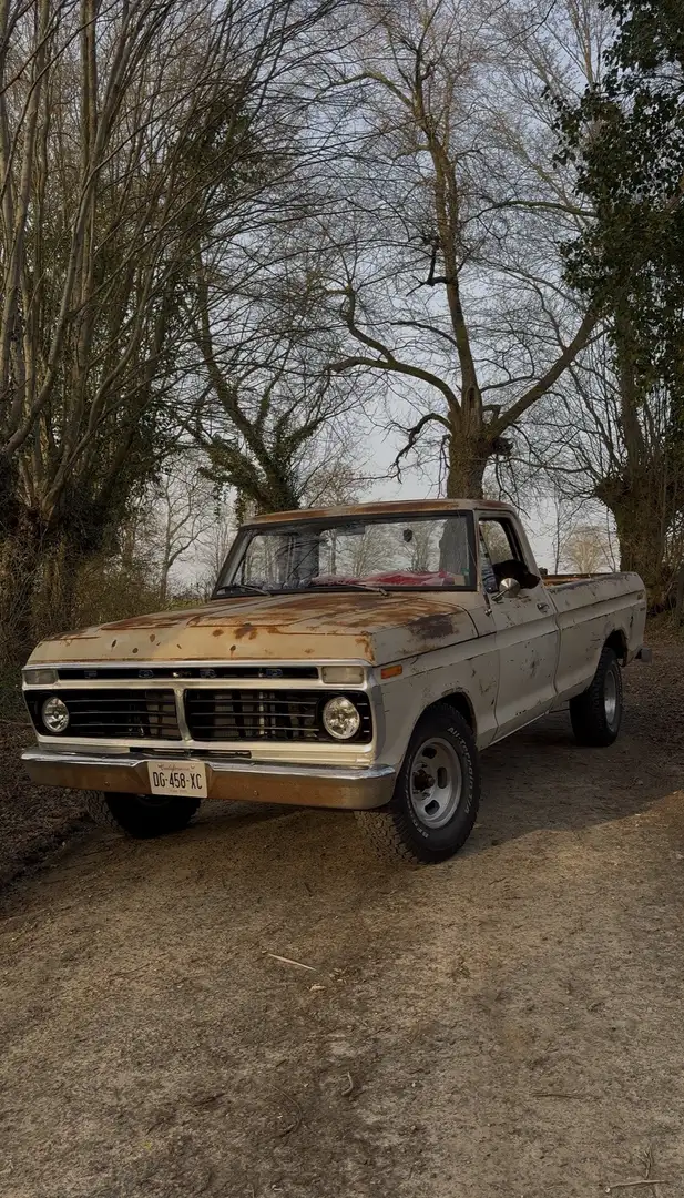 Ford F 100 - 1