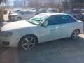 SEAT Exeo 2.0 TDI CR 143 CV DPF Sport Blanco - thumbnail 5