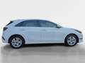 Kia Ceed / cee'd Ceed 1.5 T-GDI Vision MY25+DCT+Navi+R.Kam+Komfort Weiß - thumbnail 6