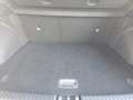 Kia Ceed / cee'd Ceed 1.5 T-GDI Vision MY25+DCT+Navi+R.Kam+Komfort Weiß - thumbnail 9