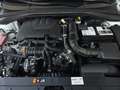 Kia Ceed / cee'd Ceed 1.5 T-GDI Vision MY25+DCT+Navi+R.Kam+Komfort Weiß - thumbnail 11