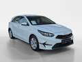 Kia Ceed / cee'd Ceed 1.5 T-GDI Vision MY25+DCT+Navi+R.Kam+Komfort Blanc - thumbnail 7