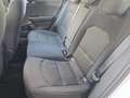 Kia Ceed / cee'd Ceed 1.5 T-GDI Vision MY25+DCT+Navi+R.Kam+Komfort White - thumbnail 8