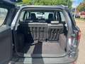 Ford EcoSport 1.5 Ti-VCT Titanium SITZHZG LM KLIMA-AT Grau - thumbnail 12