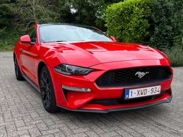 Mustang 2.3 EcoBoost (EU6.2)