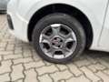Fiat Qubo Diesel 1,3 Multijet II 80 Trekking Weiß - thumbnail 30
