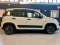 Fiat Panda Panda 1.0 firefly hybrid City Life *PREZZO PROMO* Weiß - thumbnail 5