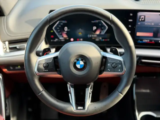 BMW X1 view 13