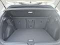 Volkswagen Golf 2.0 TSI 195 kW GTI DSG IQ.Light 19Zoll Pano Kam... Weiß - thumbnail 14