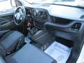 Fiat Doblo 1.6 JTDM SX Maxi Kasten Bianco - thumbnail 11