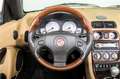 MG TF 1.8 TF 135 Brooklands uitvoering, leer, windvanger Groen - thumbnail 8