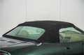 MG TF 1.8 TF 135 Brooklands uitvoering, leer, windvanger Groen - thumbnail 48