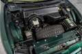 MG TF 1.8 TF 135 Brooklands uitvoering, leer, windvanger Groen - thumbnail 38
