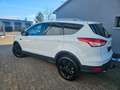 Ford Kuga Trend Design-Paket AHK Weiß - thumbnail 4