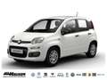 Fiat Panda Hybrid 1.0 GSE PANDINA KLIMA PDC Weiß - thumbnail 1