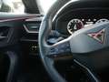 CUPRA Formentor 1.5 TSI DSG AHK ACC LED PANO 360° Grau - thumbnail 17