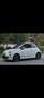 Fiat 500C Sportpaket Benzin Mild-Hybrid Weiß - thumbnail 12