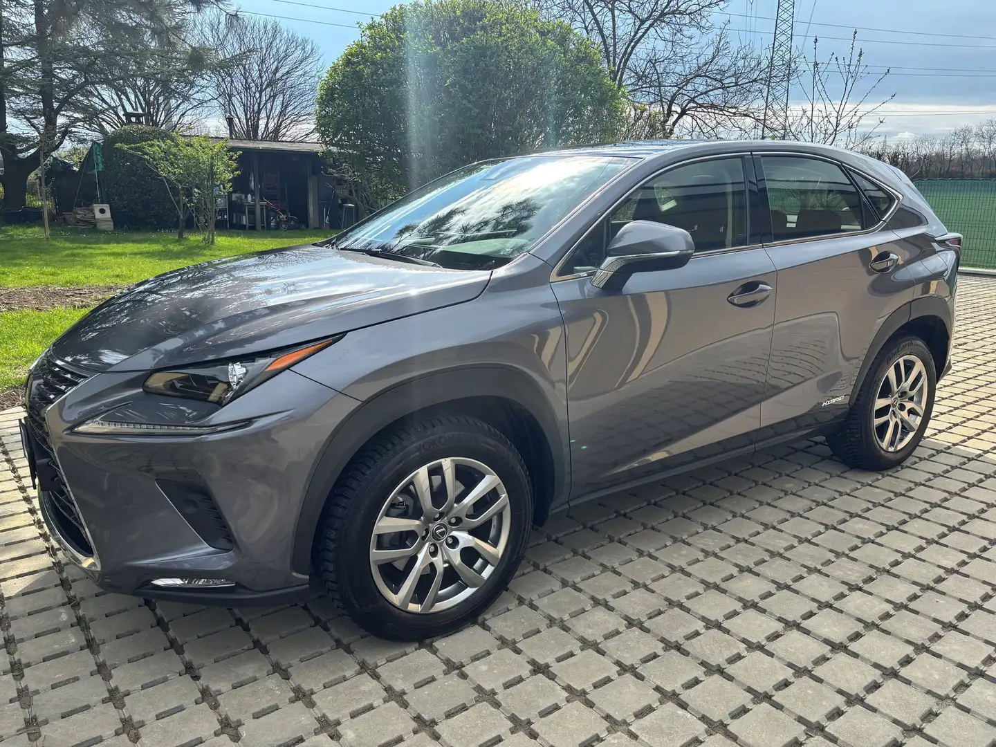 Lexus NX 300 NX I 2018 300h 2.5 Premium 4wd cvt Gris - 1