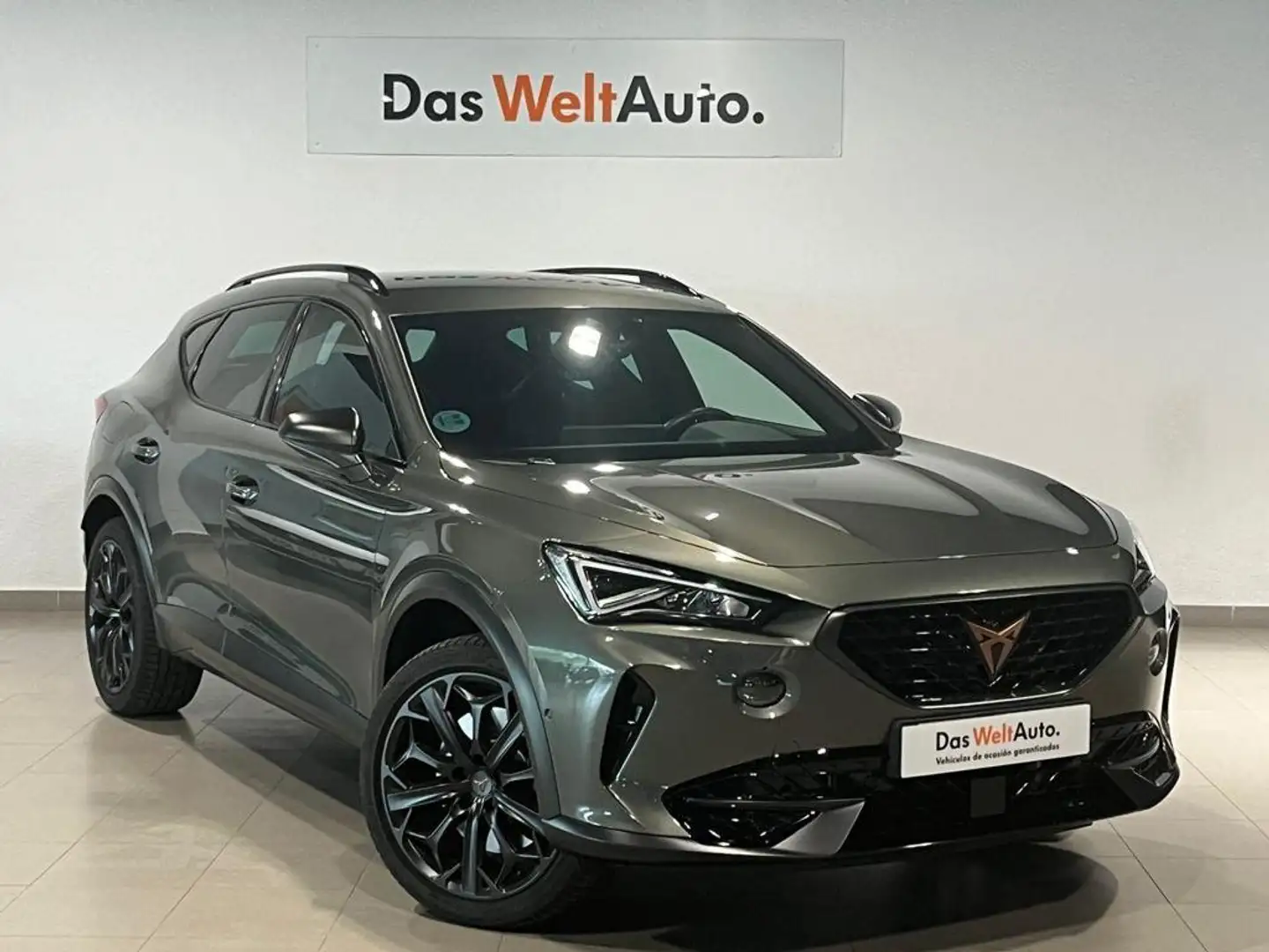 CUPRA Formentor 2.0 TSI 310 VZ DSG 4Drive Gris - 1