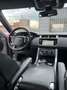 Land Rover Range Rover Sport 3.0 tdV6 HSE Dynamic auto Gris - thumbnail 6