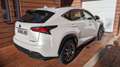 Lexus NX 300h Executive 4WD Blanco - thumbnail 1