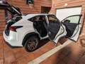 Lexus NX 300h Executive 4WD Blanco - thumbnail 4