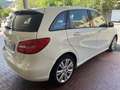 Mercedes-Benz B 180 B 180 cdi Chrome Bianco - thumbnail 5