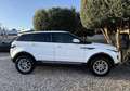 Land Rover Range Rover Evoque 2.2 ED4 DYNAMIC 4X2 Blanc - thumbnail 5