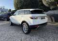 Land Rover Range Rover Evoque 2.2 ED4 DYNAMIC 4X2 Blanc - thumbnail 4