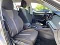 Skoda Octavia Combi Scout 1.5 TSI DSG AHK+18"+NAVI-COL Silber - thumbnail 13