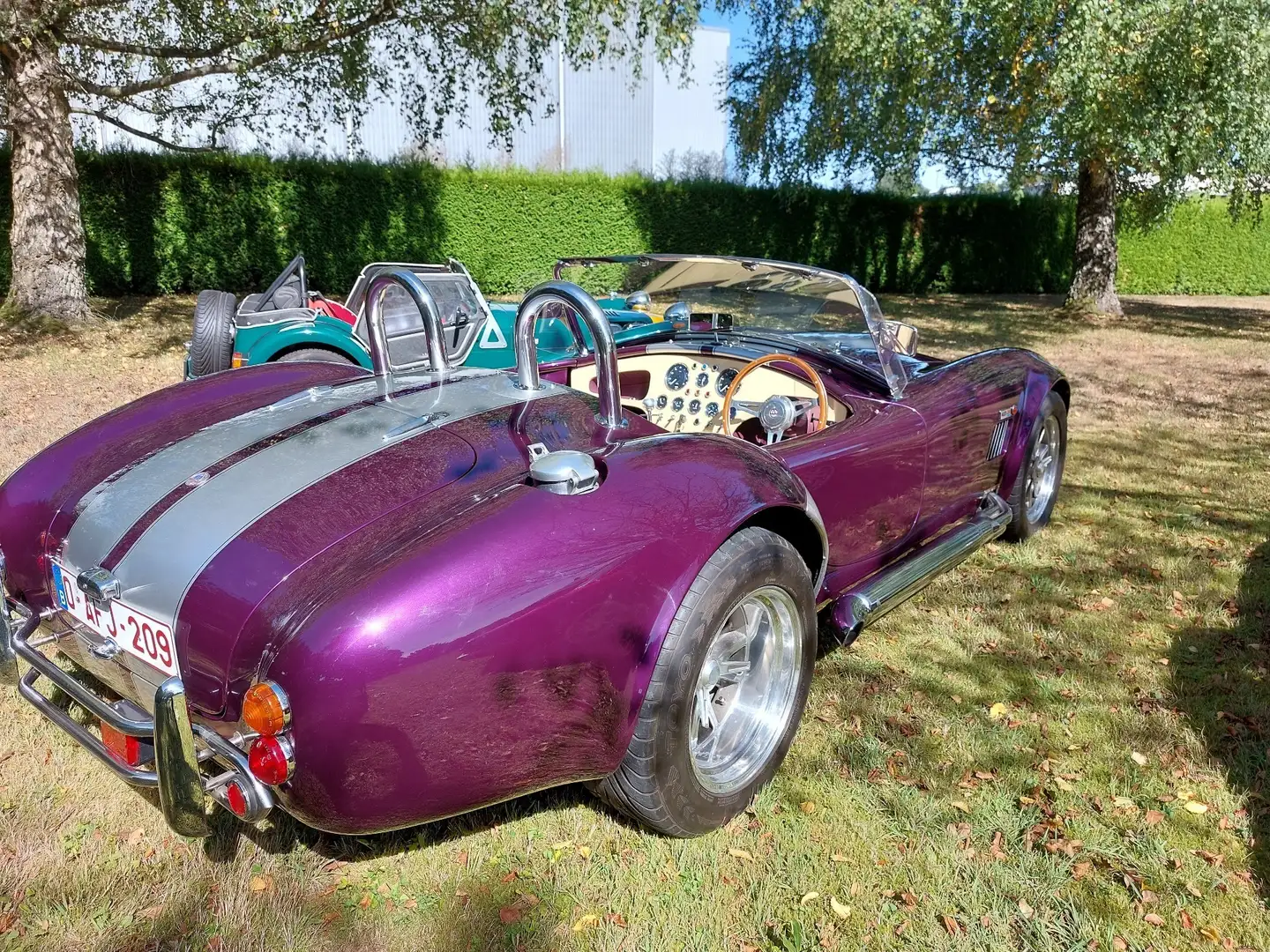 AC Cobra AK427 Ford 351 Cleveland V8 Violet - 1