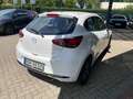 Mazda 2 1.5 CENTER-LINE Klima, LED, Conv. Weiß - thumbnail 4