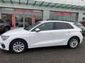 Audi A3 SPB 30 TDI S tronic Business Advanced Bianco - thumbnail 12