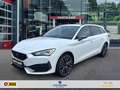 CUPRA Leon 1.4 TSI DSG E-HYBRID PANO-DAK/CAMERA/LEDER/MEMORY/ Wit - thumbnail 1