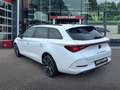 CUPRA Leon 1.4 TSI DSG E-HYBRID PANO-DAK/CAMERA/LEDER/MEMORY/ Wit - thumbnail 7