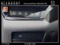 Mazda CX-30 Exclusive 150 Automatik Navi|BOSE|360° Noir - thumbnail 10