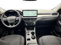 Ford Kuga FHEV Titanium CVT 4WD Silber - thumbnail 13