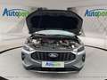 Ford Kuga FHEV Titanium CVT 4WD Silber - thumbnail 9