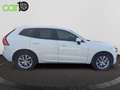 Volvo XC60 2.0 D4 AWD Momentum Wit - thumbnail 18