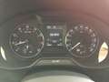 Skoda Octavia 1.4TSI 5-türig/Lim. Joy/Navi/Xenon/Apple Gris - thumbnail 21
