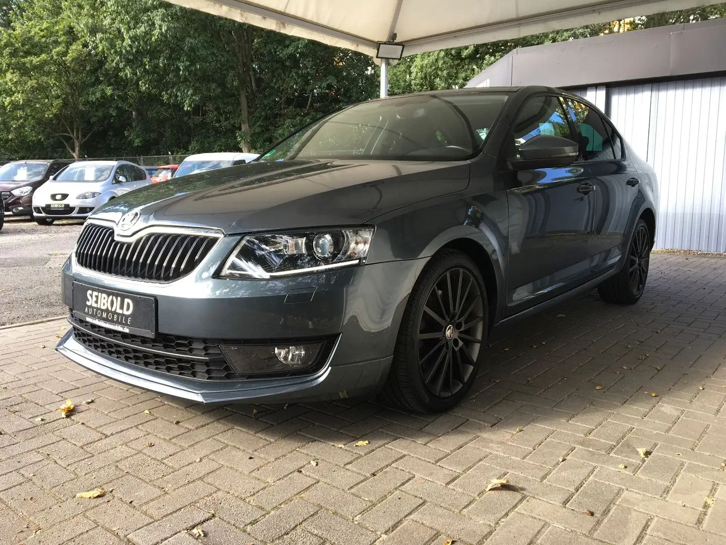 Skoda Octavia 1.4TSI 5-türig/Lim. Joy/Navi/Xenon/Apple Gris - 1