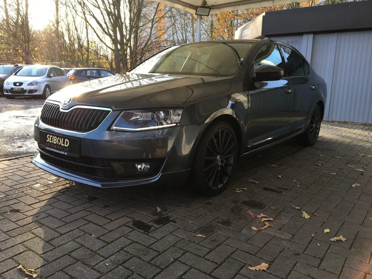 Skoda Octavia 1.4TSI 5-türig/Lim. Joy/Navi/Xenon/Apple Gris - 1