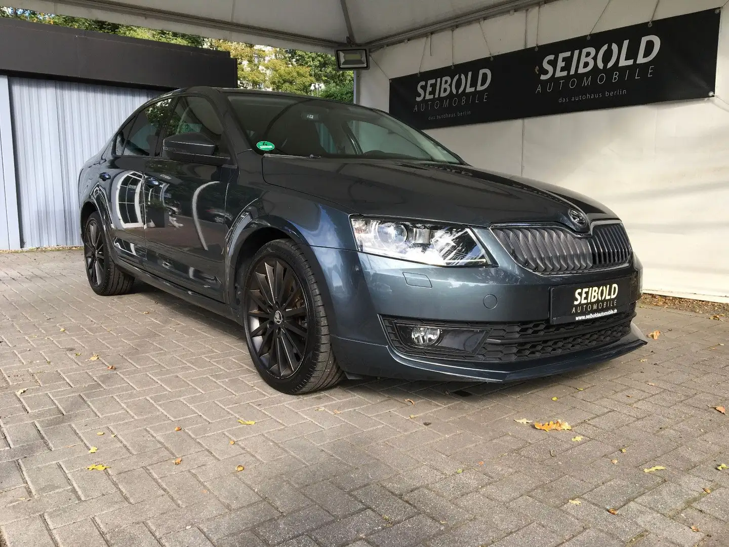 Skoda Octavia 1.4TSI 5-türig/Lim. Joy/Navi/Xenon/Apple Gris - 2