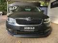 Skoda Octavia 1.4TSI 5-türig/Lim. Joy/Navi/Xenon/Apple Gris - thumbnail 3