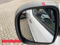 Toyota Proace Kasten 2.0 D-4D L2 Meister Navi Apple CarPlay Andr Blanc - thumbnail 19