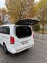Mercedes-Benz V 220 d lang 4Matic 7G-TRONIC Avantgarde Edition - thumbnail 8