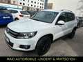Volkswagen Tiguan Lounge Sport & Style 4Motion-NAVI-AHK-KAM Weiß - thumbnail 3