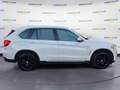 BMW X5 (F15/85) xDrive25d Luxury Bianco - thumbnail 20