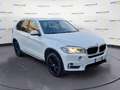 BMW X5 (F15/85) xDrive25d Luxury Bianco - thumbnail 1